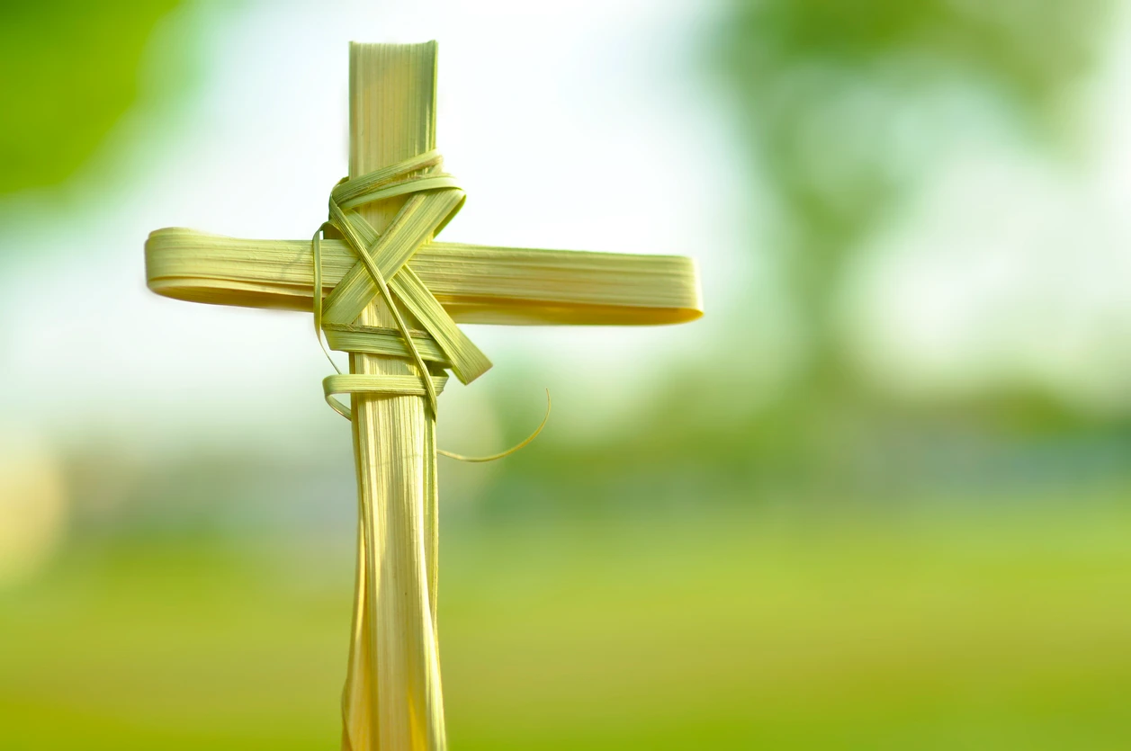 A Palm Cross on a green background